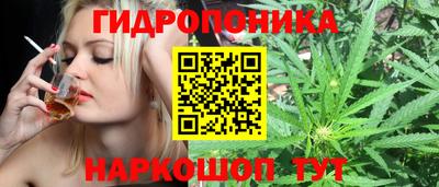 гидра Тулун