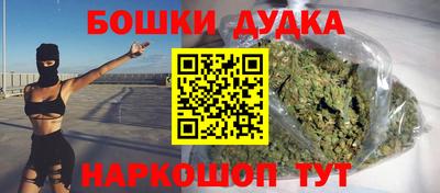 индика Усть-Илимск