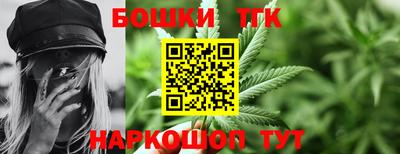 индика Усть-Илимск